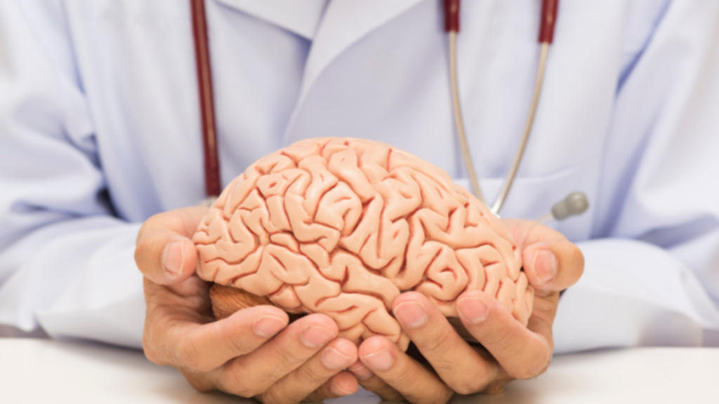 Imagem Ilustrando a Notícia: Dia Mundial do Cérebro: especialista explica principais problemas que afetam órgão