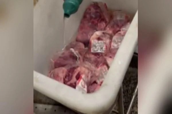 Imagem Ilustrando a Notícia: Vídeo mostra equipe de mercado paulista jogando cloro em carnes com larvas; entenda o motivo