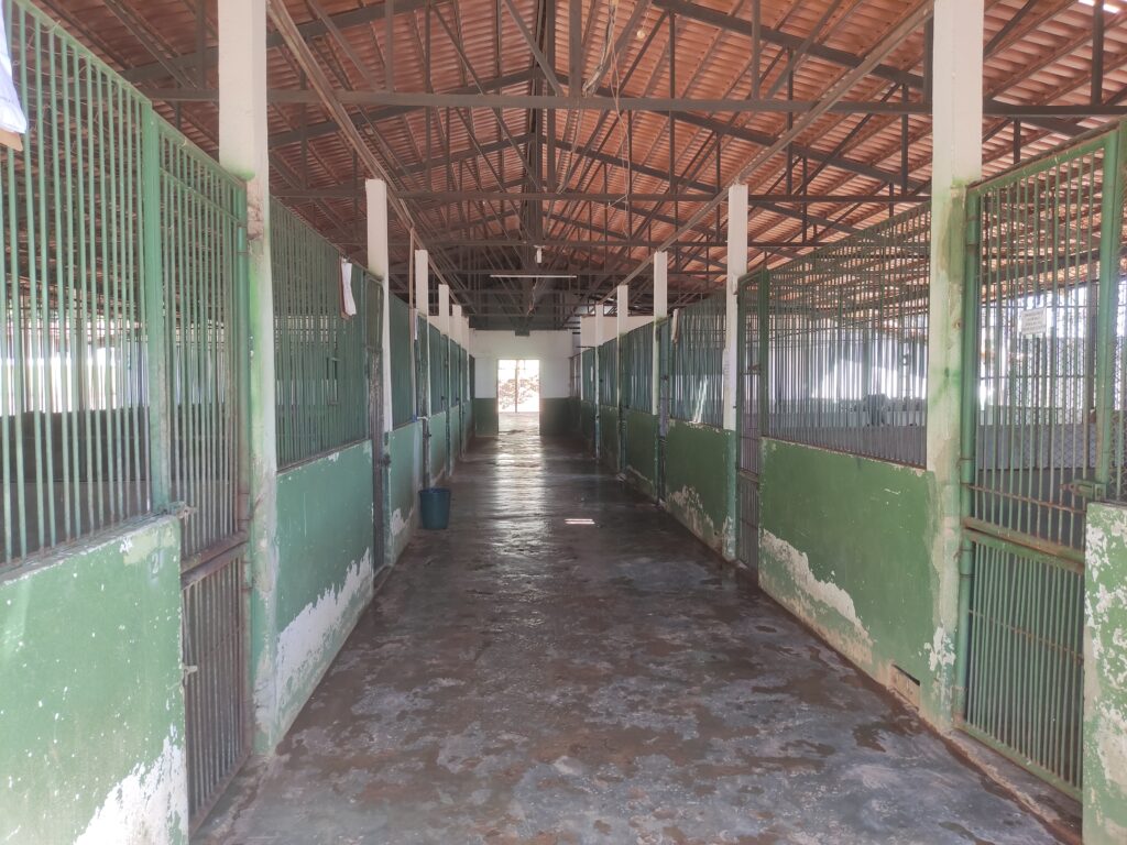 Imagem Ilustrando a Notícia: Pátio do Centro de Zoonoses de Goiânia permanece abandonado