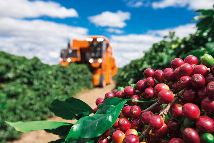 Imagem Ilustrando a Notícia: Brasil exporta R$ 1,9 bi em sacas de café solúvel no 1º semestre