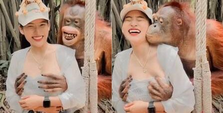 Imagem Ilustrando a Notícia: Macaco apalpa seios de turista em parque na Tailândia e viraliza nas redes sociais; Assista