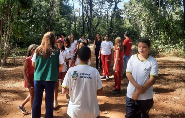 Imagem Ilustrando a Notícia: Entretenimento nas férias: Parque Areião promove trilhas ambientais para crianças; saiba mais