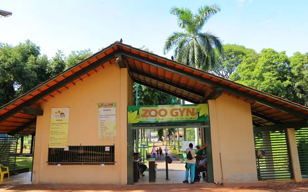 Imagem Ilustrando a Notícia: Zoológico de Goiânia permite a entrada gratuita para crianças de cinco anos; conheça as regras
