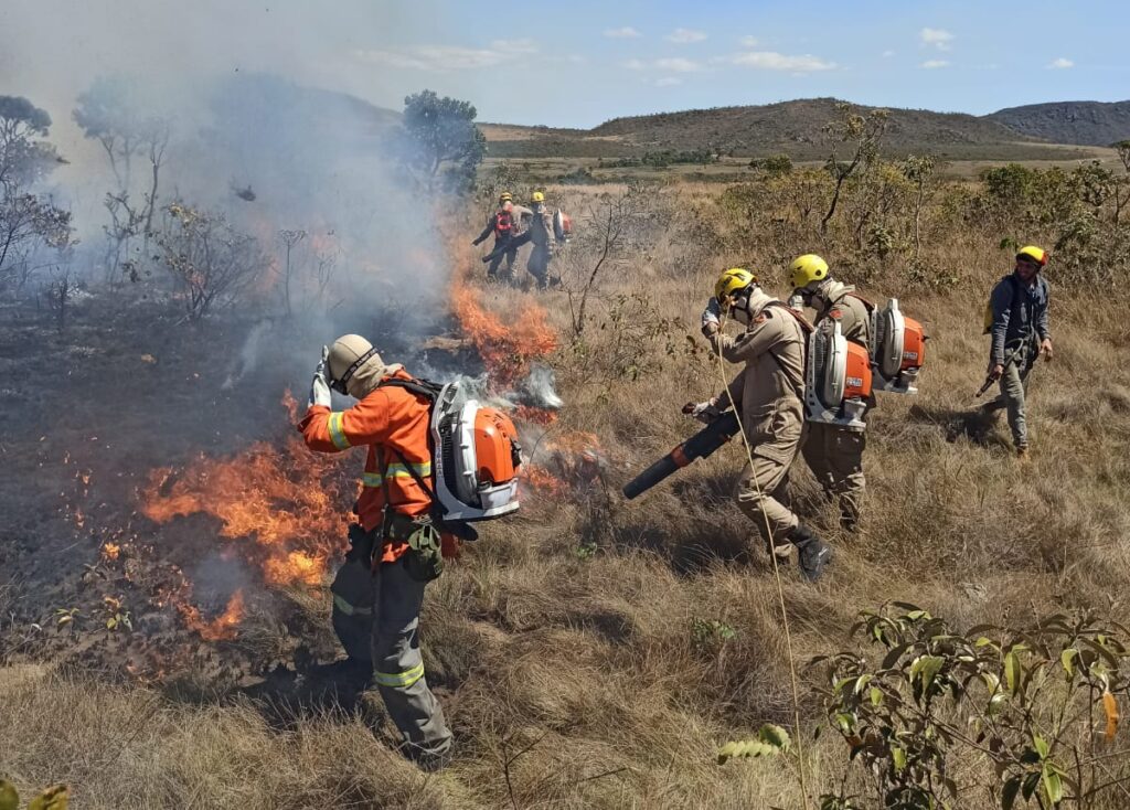 Imagem Ilustrando a Notícia: Incêndio destrói 120 hectares da área de proteção ambiental da Chapada