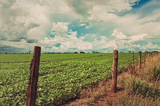 Imagem Ilustrando a Notícia: Goiás regularizou mais de 7,4 mil títulos de terra a produtores rurais