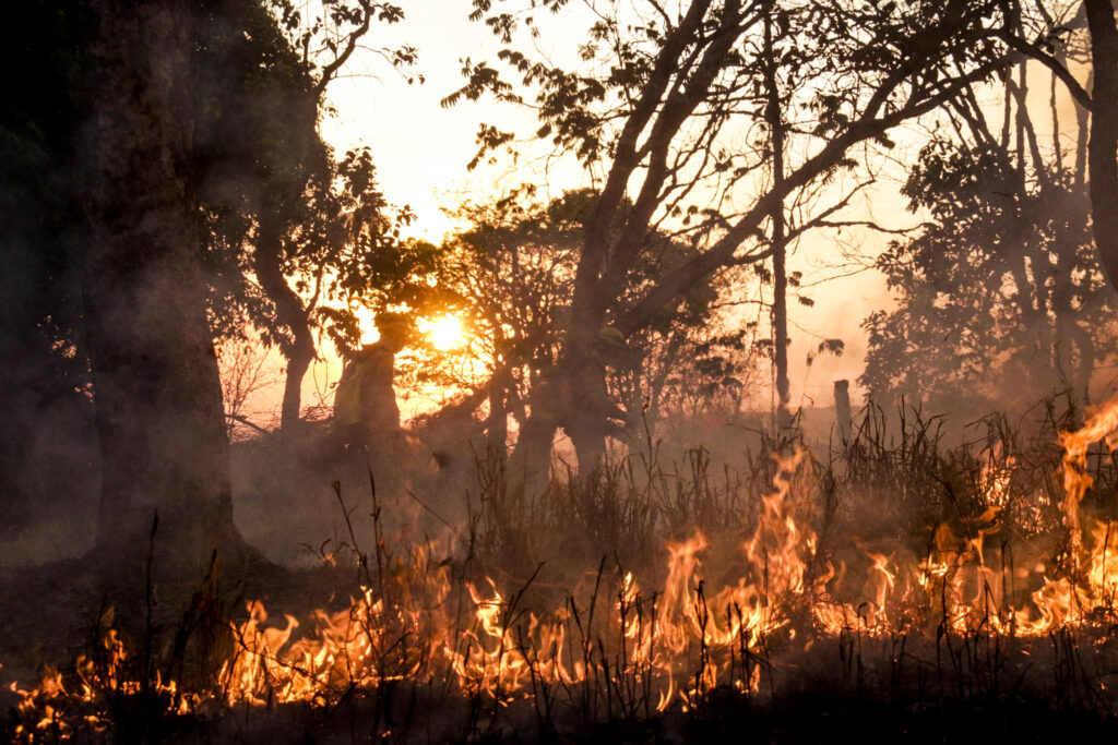 Imagem Ilustrando a Notícia: Tempo seco avançou focos de incêndio no cerrado no primeiro semestre de 2022
