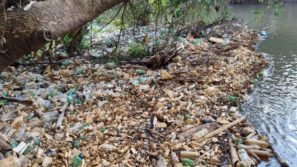 Imagem Ilustrando a Notícia: Voluntários retiram quase duas toneladas de lixo flutuante do Rio Meia Ponte
