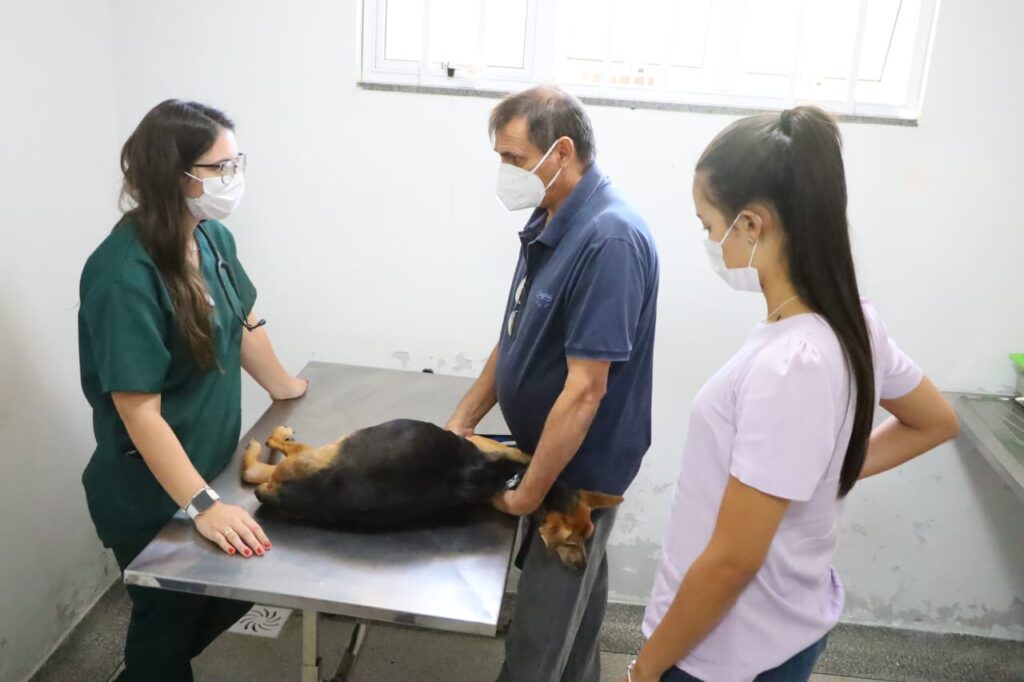 Imagem Ilustrando a Notícia: Centro veterinário público faz 60 atendimentos por dia em Goiânia