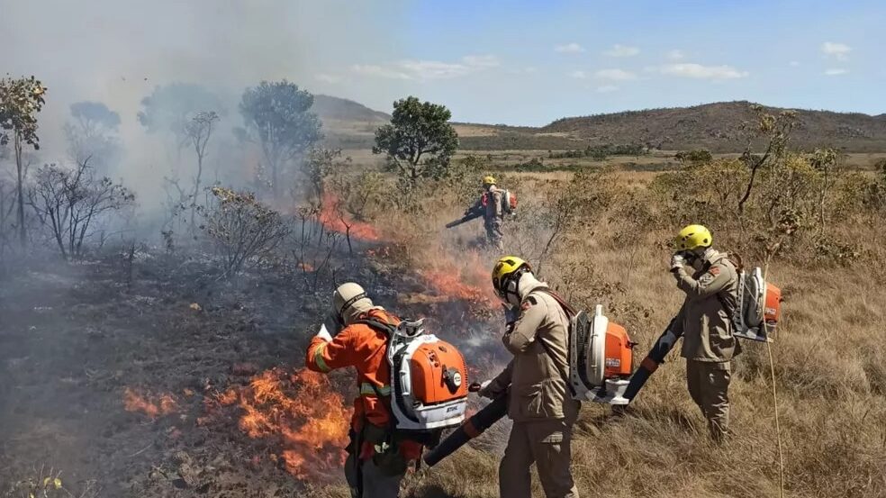 Imagem Ilustrando a Notícia: Incêndio atinge 125 hectares de área de preservação próxima à Chapada dos Veadeiros