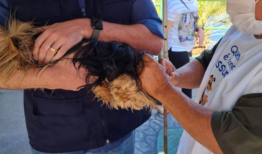 Imagem Ilustrando a Notícia: Goiânia disponibiliza 75 pontos de vacinação antirrábica de cães e gatos, neste sábado