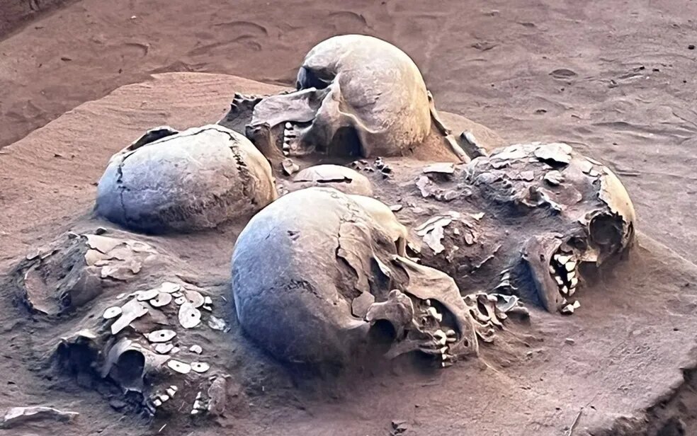 Imagem Ilustrando a Notícia: Pesquisadores encontram dez crânios milenares em sítio arqueológico de Serranópolis