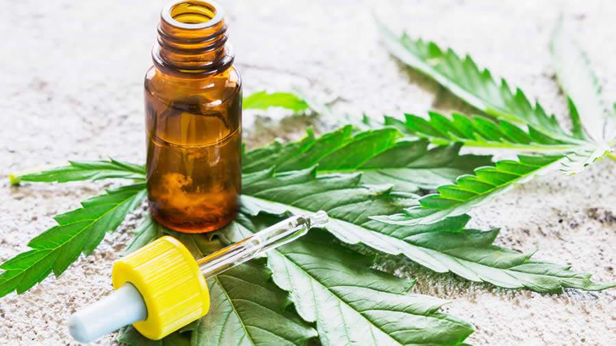 Imagem Ilustrando a Notícia: Assembleia Legislativa fará audiência para debater benefícios da cannabis terapêutica