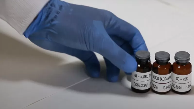 Imagem Ilustrando a Notícia: Primeiros testes de vacina brasileira contra covid-19 terão 432 voluntários