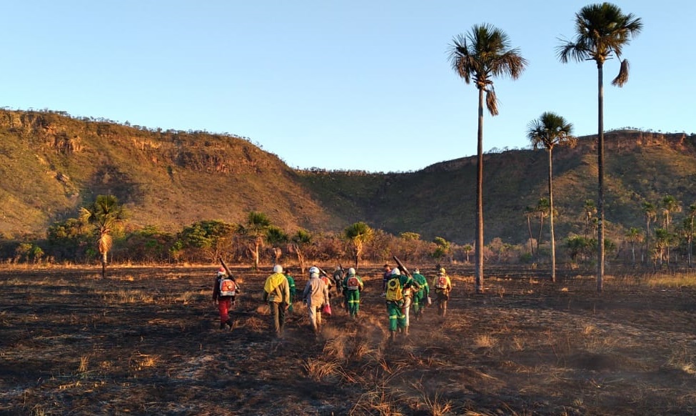 Imagem Ilustrando a Notícia: Focos de incêndios florestais em parques caem 80% em Goiás