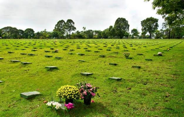 Imagem Ilustrando a Notícia: Cemitérios e Floriculturas se preparam para o Dia de Finados