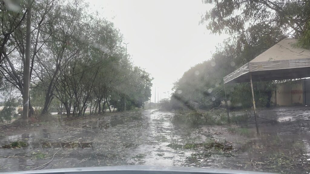 Imagem Ilustrando a Notícia: Chuva forte e ventania causa estragos e quedas de árvores em Goiânia