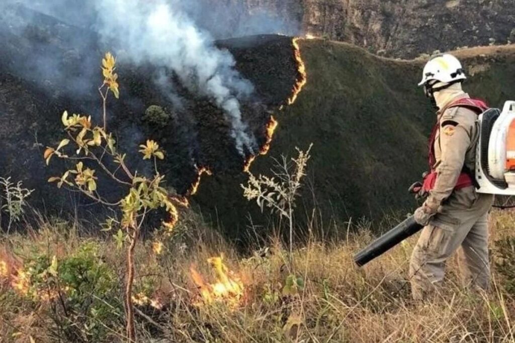 Imagem Ilustrando a Notícia: Bombeiros combatem 146 incêndios florestais na região da Chapada dos Veadeiros, em 4 meses