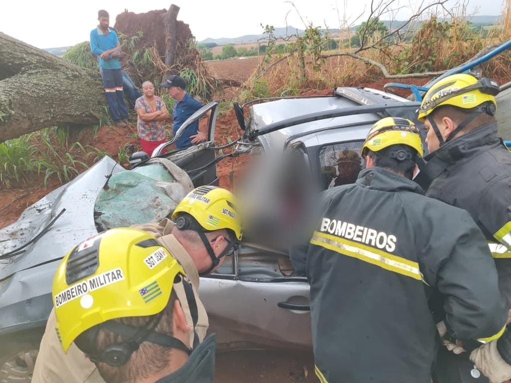 Imagem Ilustrando a Notícia: Três homens ficam feridos após árvore cair por cima de veículo em Goianésia