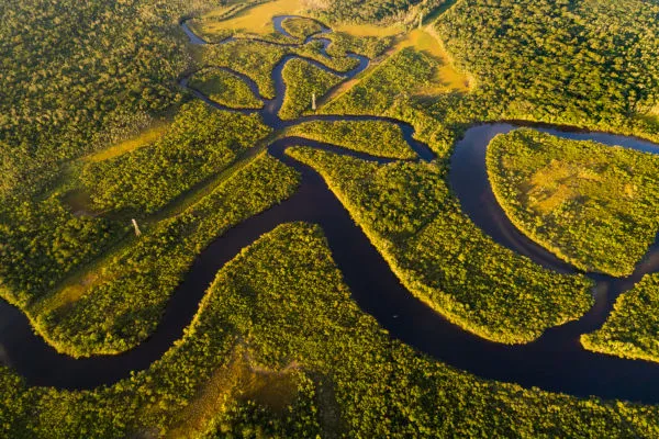 Imagem Ilustrando a Notícia: Reino Unido estuda entrada no Fundo Amazônia junto a Noruega e Alemanha