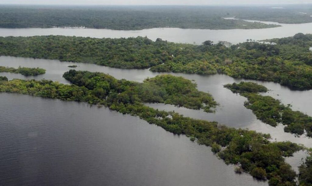 Imagem Ilustrando a Notícia: Preservação da Amazônia é prioridade do governo eleito na COP27