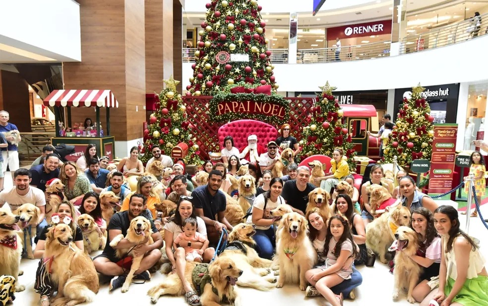 Imagem Ilustrando a Notícia: Cerca de 40 cães vão a encontro para foto com Papai Noel, em Goiânia