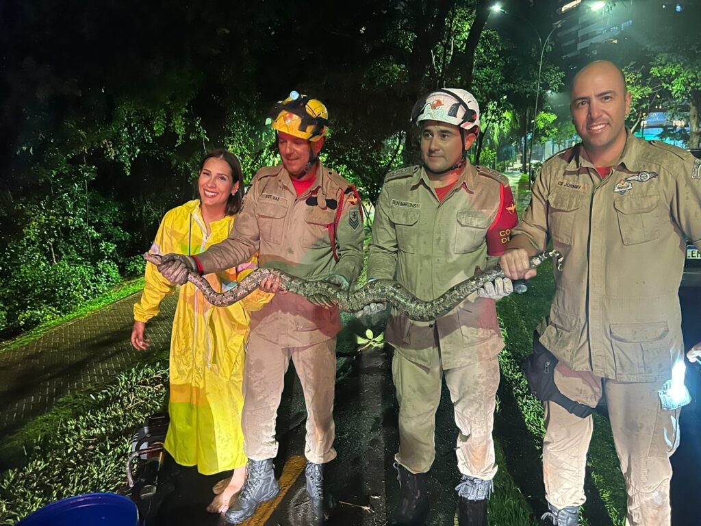 Imagem Ilustrando a Notícia: Amma resgata jiboia encontrada no Parque Flamboyant