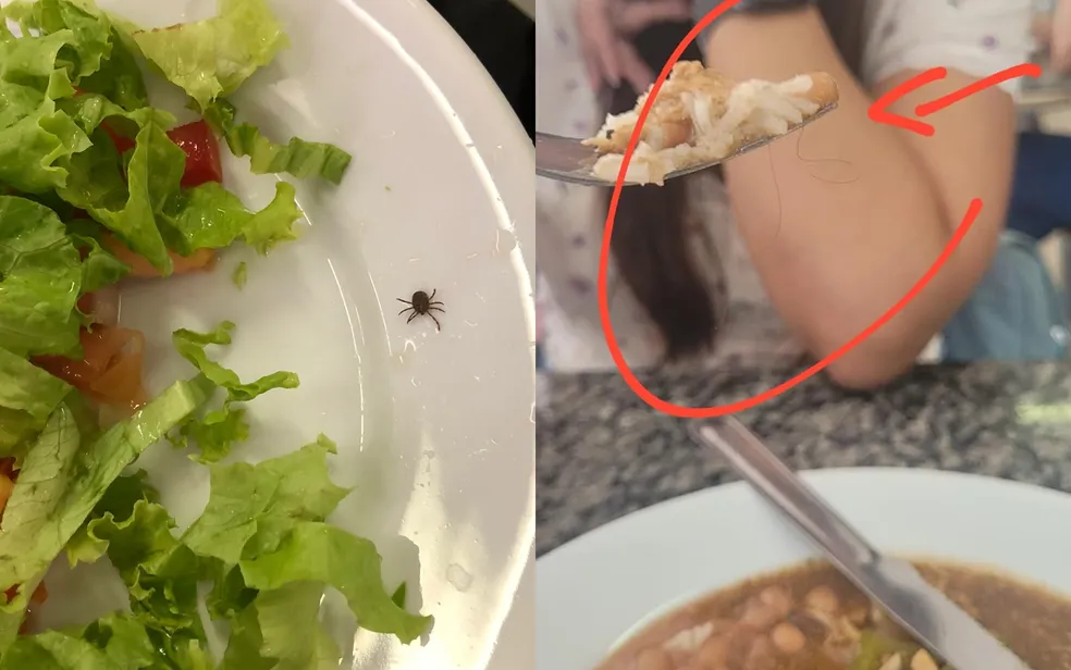 Imagem Ilustrando a Notícia: Residentes denunciam larva, carrapato e carne podre em comida do Hospital das Clínicas da UFG