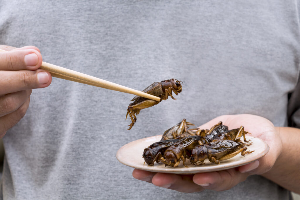Imagem Ilustrando a Notícia: Consumo de insetos pode ser a solução para problemas ambientais