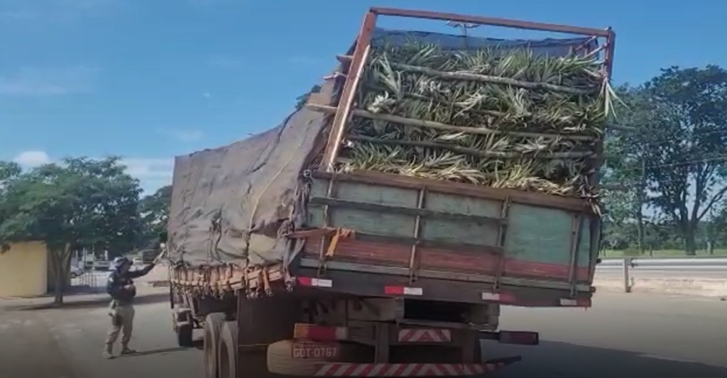 Imagem Ilustrando a Notícia: PRF flagra caminhão com carga torta que trafegava pela BR-153, em Aparecida: veja vídeo