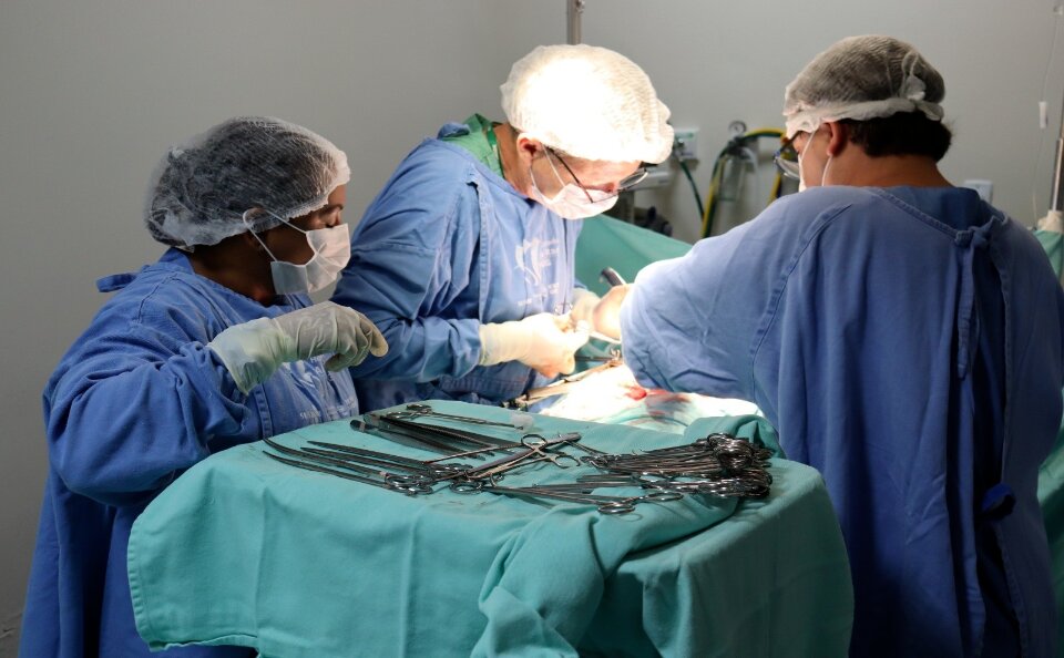 Imagem Ilustrando a Notícia: Hospital americano anuncia segundo transplante de coração de porco para humanos