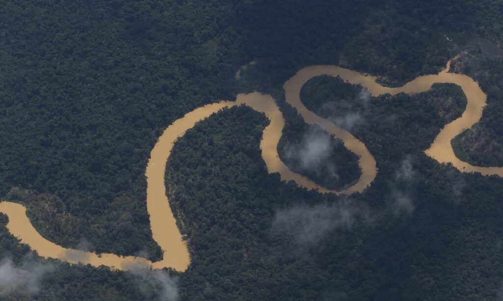 Imagem Ilustrando a Notícia: Recomposição de comissão que acompanha crise Yanomami é solicitada por Conselho Indigenista