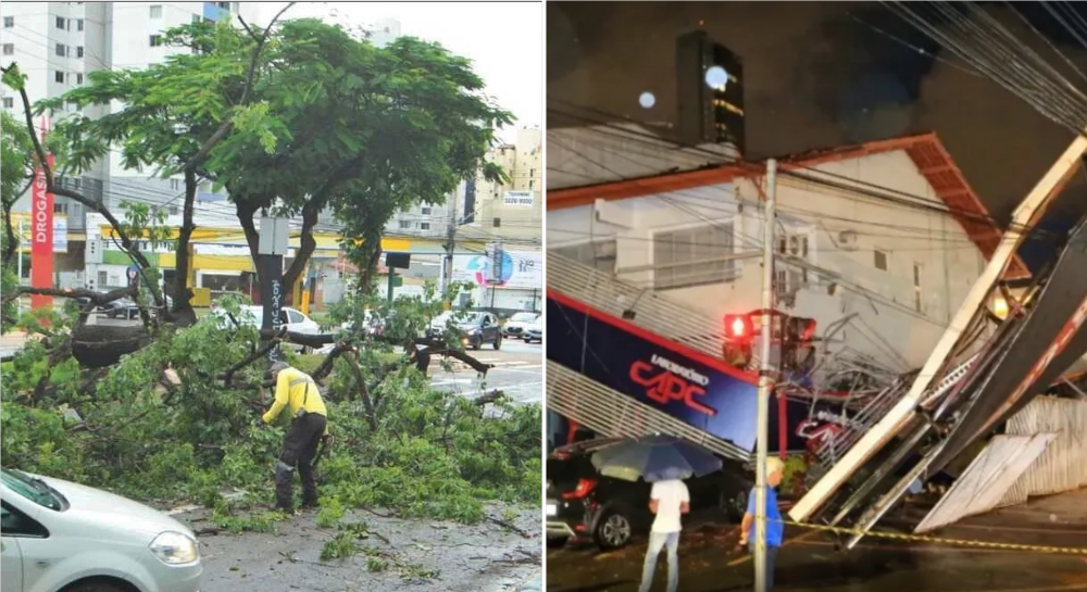 Imagem Ilustrando a Notícia: Temporal destrói outdoor, derruba árvores e deixa moradores sem energia na capital