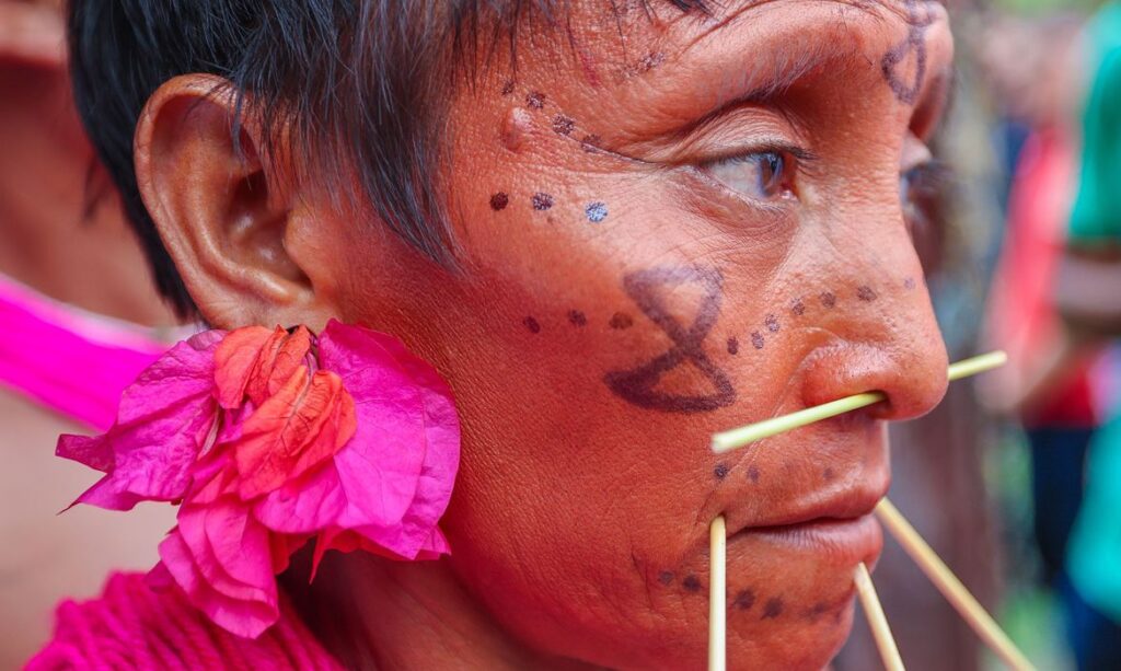 Imagem Ilustrando a Notícia: Ibama cria sala de combate ao garimpo ilegal em terra Yanomami