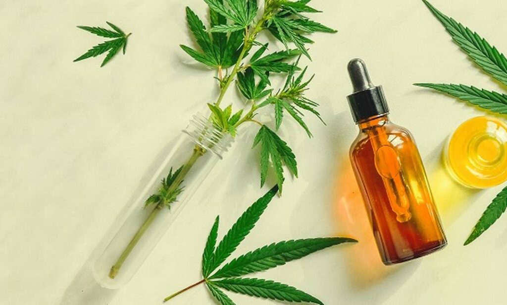 Imagem Ilustrando a Notícia: Empresa norte-americana fecha parceria com Iquego para distribuição de medicamentos à base de cannabis, pelo SUS
