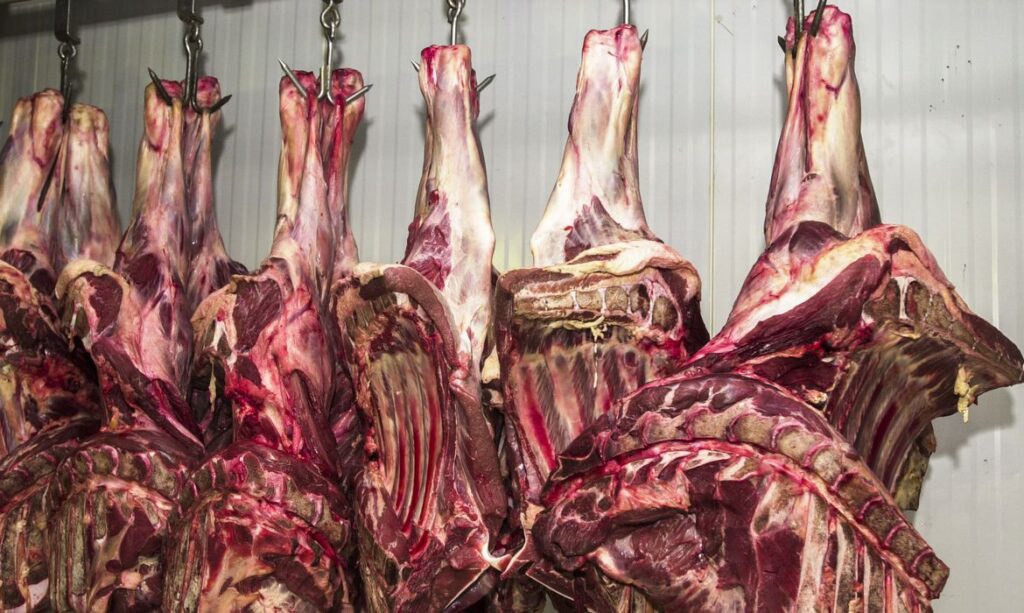 Imagem Ilustrando a Notícia: Goiás tem maior queda de abates bovinos no quarto trimestre de 2022