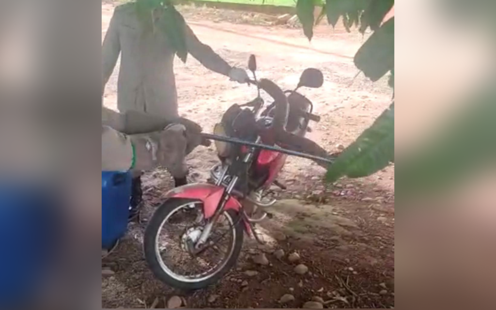 Imagem Ilustrando a Notícia: Morador encontra cobra enrolada na moto em São Luís de Montes Belos; Veja o vídeo