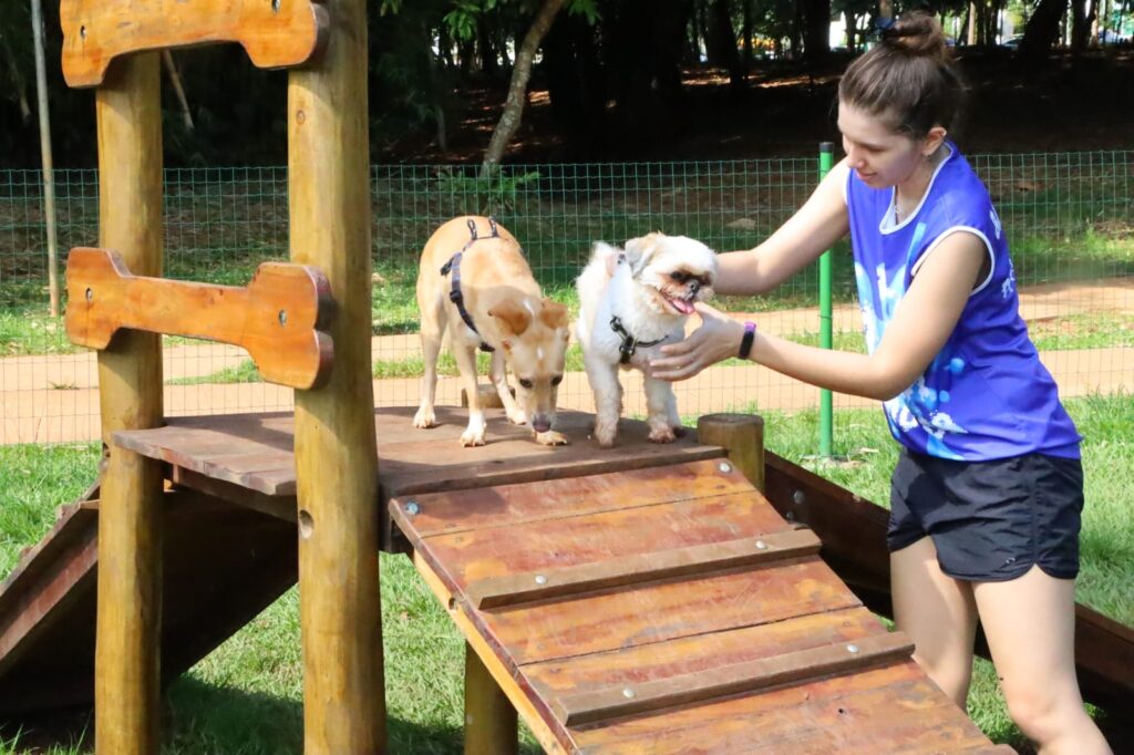 Imagem Ilustrando a Notícia: Goiânia realiza 1º Cãominhada no Parque Flamboyant, neste domingo