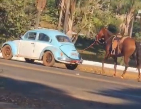 Imagem Ilustrando a Notícia: Homem é preso após ser flagrado arrastando cavalo amarrado no veículo em Piracanjuba; Veja o vídeo