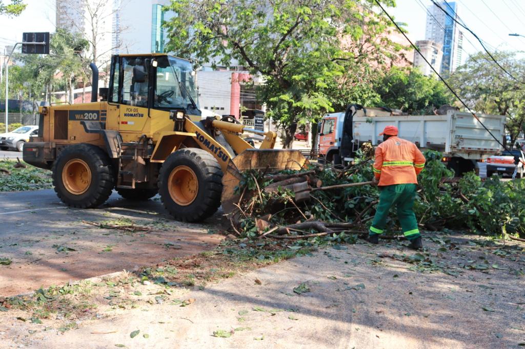Imagem Ilustrando a Notícia: Prefeitura de Goiânia leva serviços de limpeza urbana a 98 setores