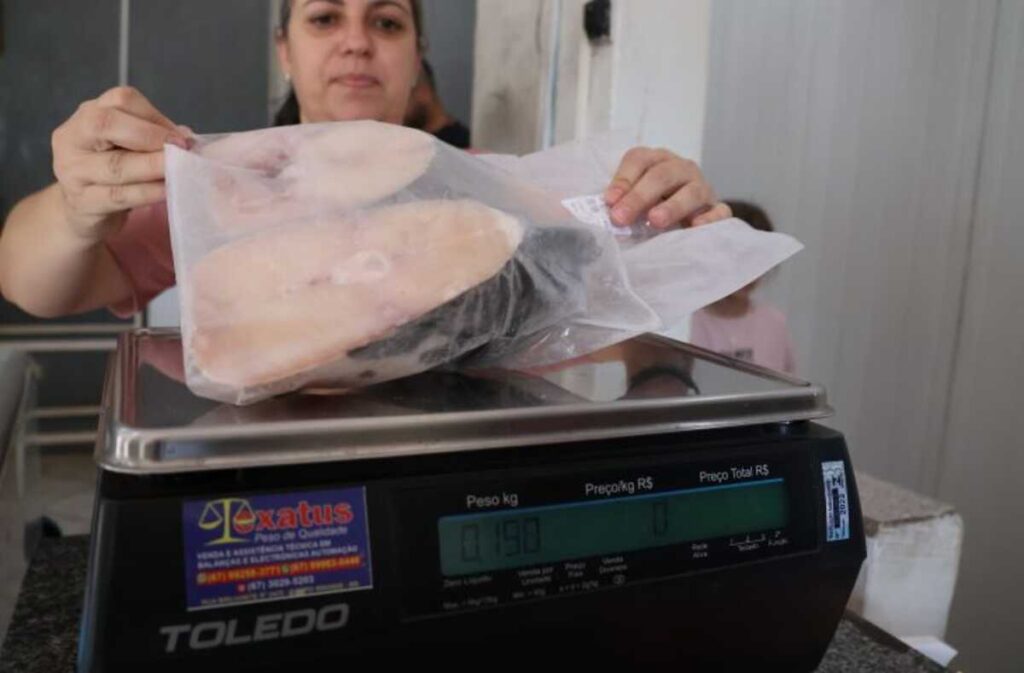 Imagem Ilustrando a Notícia: Preço do peixe em Goiânia pode variar até 200% nas peixarias