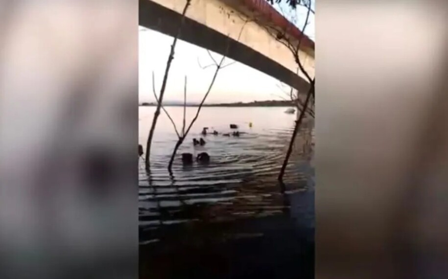 Imagem Ilustrando a Notícia: Canoa afunda no Lago da Serra da Mesa, com 9 pessoas a bordo