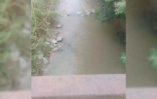 Imagem Ilustrando a Notícia: Corpo em estado de decomposição é encontrado em rio de Goiânia