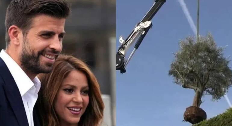 Imagem Ilustrando a Notícia: Shakira pede para retirar árvore de casa em que morava junto com Piqué