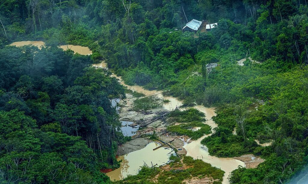 Imagem Ilustrando a Notícia: Greenpeace Brasil encontra 176 escavadeiras em terras Yanomami