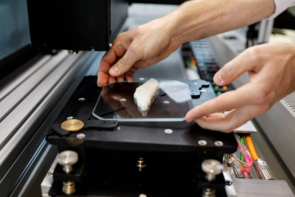 Imagem Ilustrando a Notícia: Impressora 3D é capaz de criar filé de peixe para consumo, confira