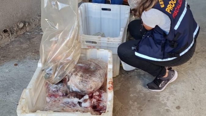 Imagem Ilustrando a Notícia: Procon Goiás encontra quase 300 kg de carne vencida em mercado de Palmeiras de Goiás