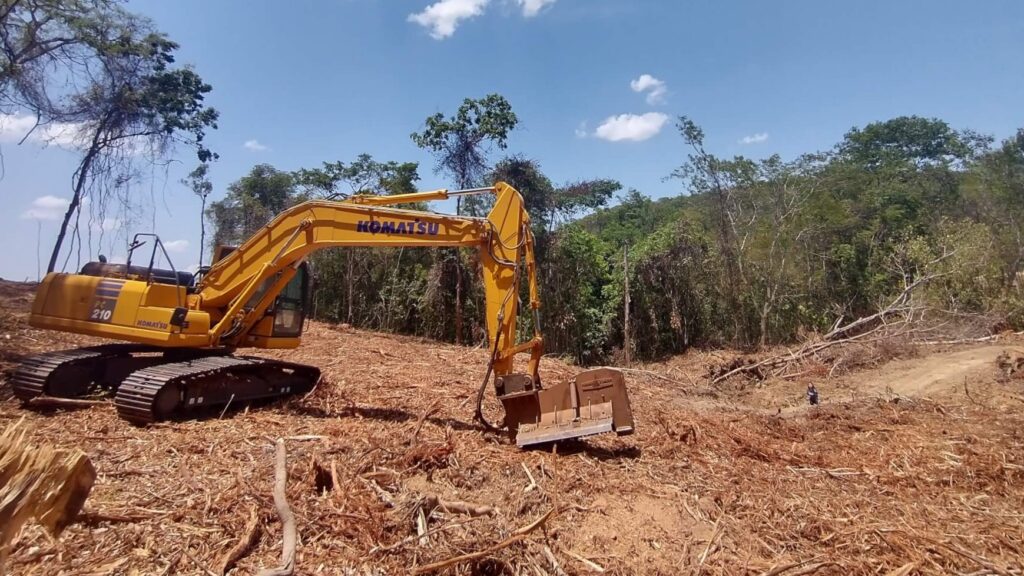 Imagem Ilustrando a Notícia: Em quatro meses, desmatamento no Cerrado derrubou área equivalente a duas cidades do Rio de Janeiro