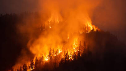 Imagem Ilustrando a Notícia: 99% dos incêndios no cerrado goiano são provocados pela ação humana