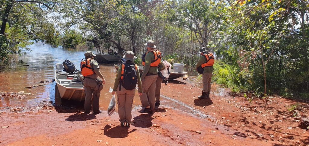 Imagem Ilustrando a Notícia: Fiscais apreendem pescado ilegal no lago Serra da Mesa e aplica mais de R$ 37 mil em multa