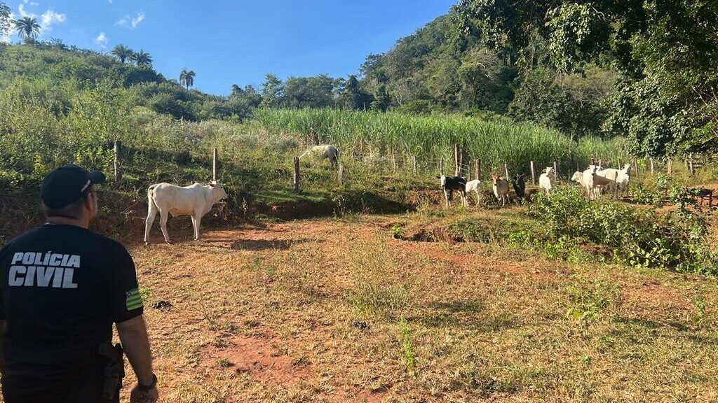 Imagem Ilustrando a Notícia: Polícia Civil recupera 10 novilhas furtadas de fazenda em Moiporá